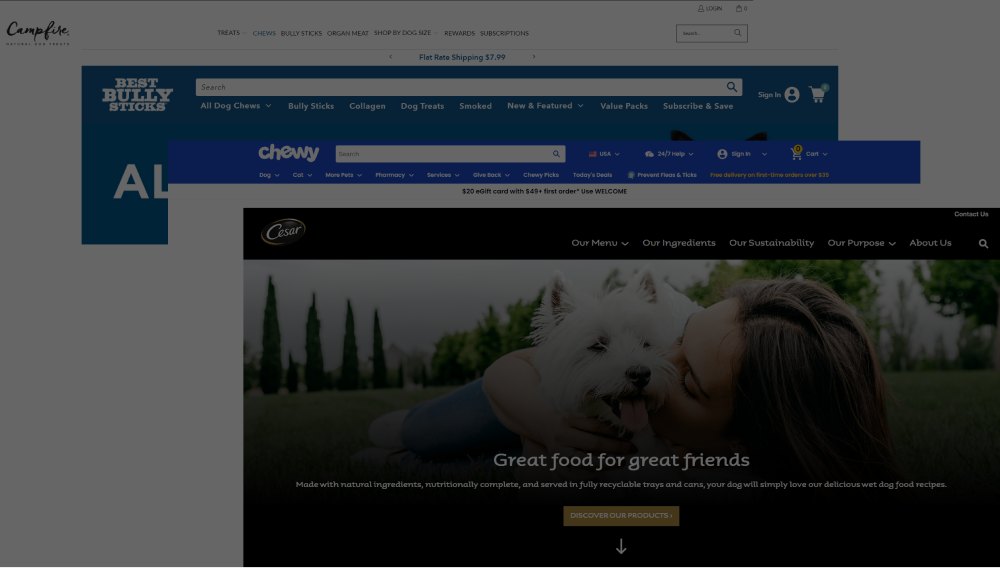 COMPETITOR AUDIT — BEST BULLY STICKS, CHEWY, CESAR, CAMPFIRE