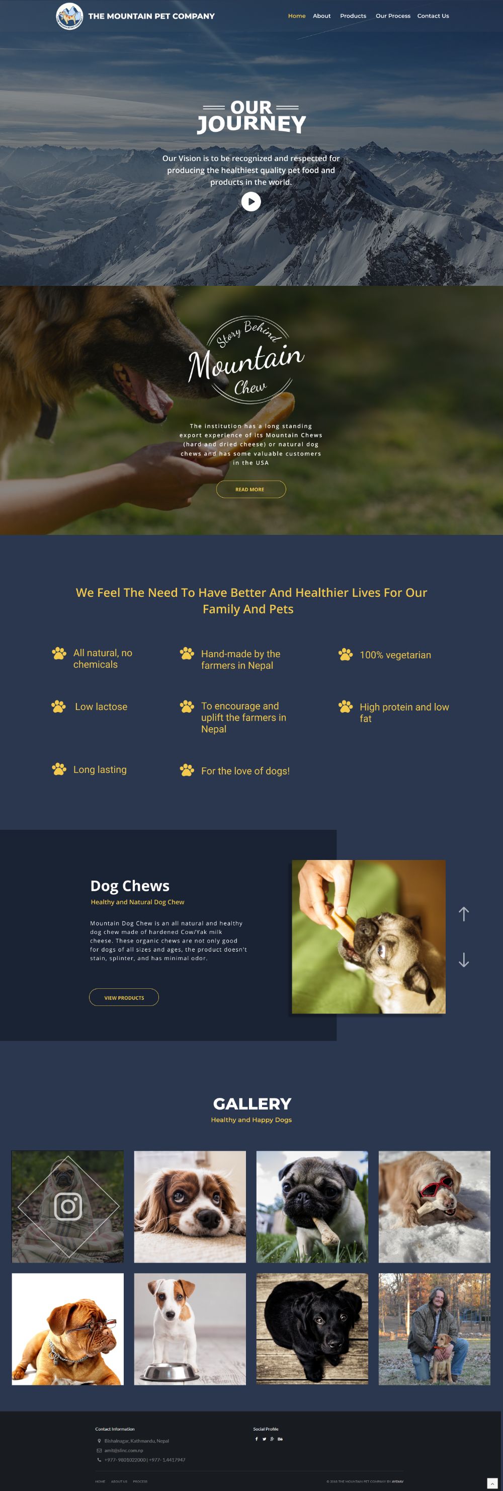 HOMEPAGE — VISION, ORIGIN STORY, PRODUCT CLAIMS, CHEWS AND GALLERY